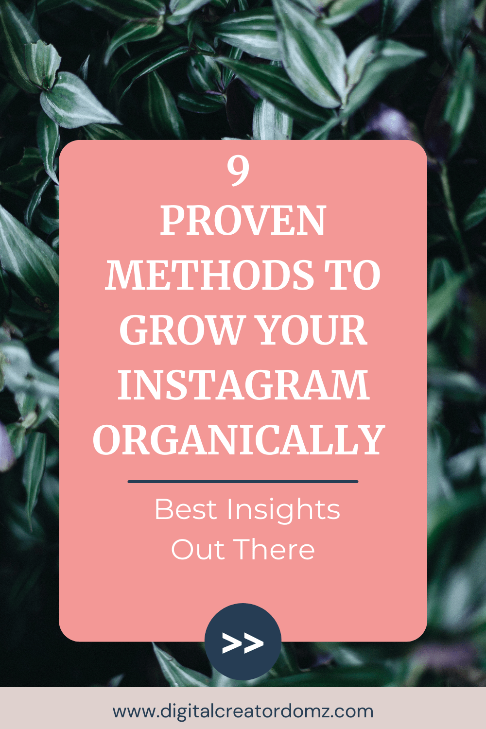 9 Proven Methods To Grow Your Instagram Organically